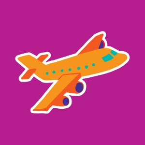 The airplane
