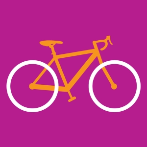 Bicycle Quiz