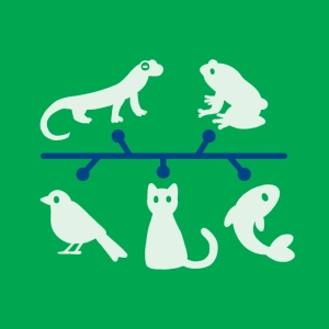 Classification of vertebrates