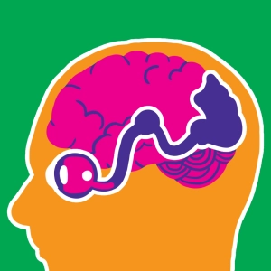 Del ojo al cerebro