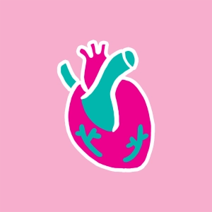 Heart anatomy