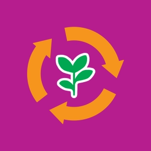 Ciclo de vida de una planta