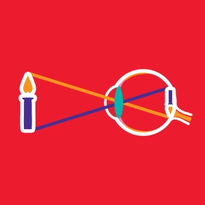 El ojo (imagen invertida)