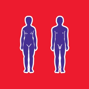 Human body