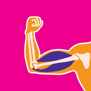 Quiz: Biceps - Triceps