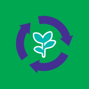 Ciclo de las plantas