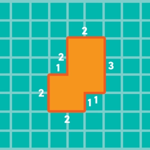 Perimeter and Area